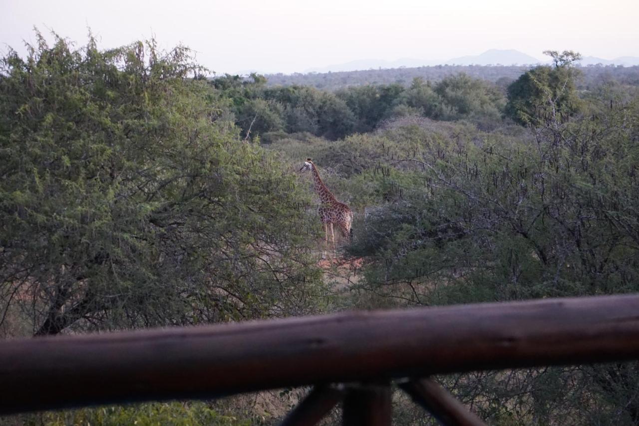 הוילה מרלות' פארק Giraffe Plains מראה חיצוני תמונה